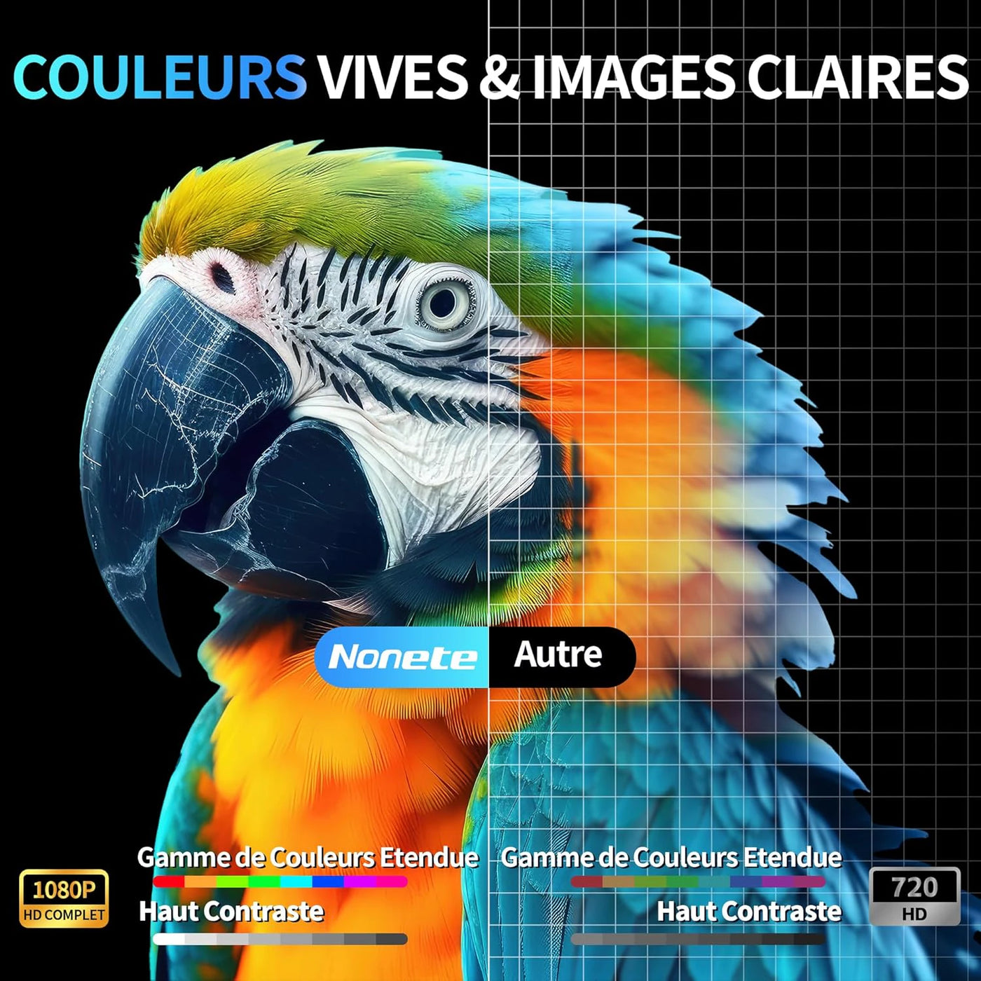 Pack Projecteur + Écran Géant